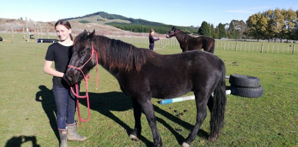 bree & horses